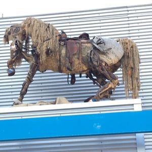 Meet your Posher, Janet